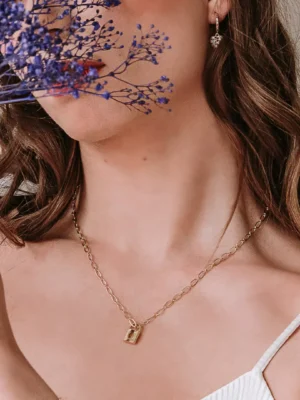 paauksuota grandinėlė